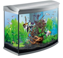 Пример оформления аквариума AquaArt