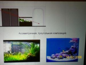 Дизайн аквариумов в интерьере