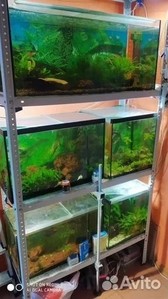 Стоит ли ставить аквариум на стальную столешницу?