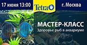 Бесплатный мастер-класс от Tetra 'Здоровье рыб в аквариуме' 17 июня 2017 года