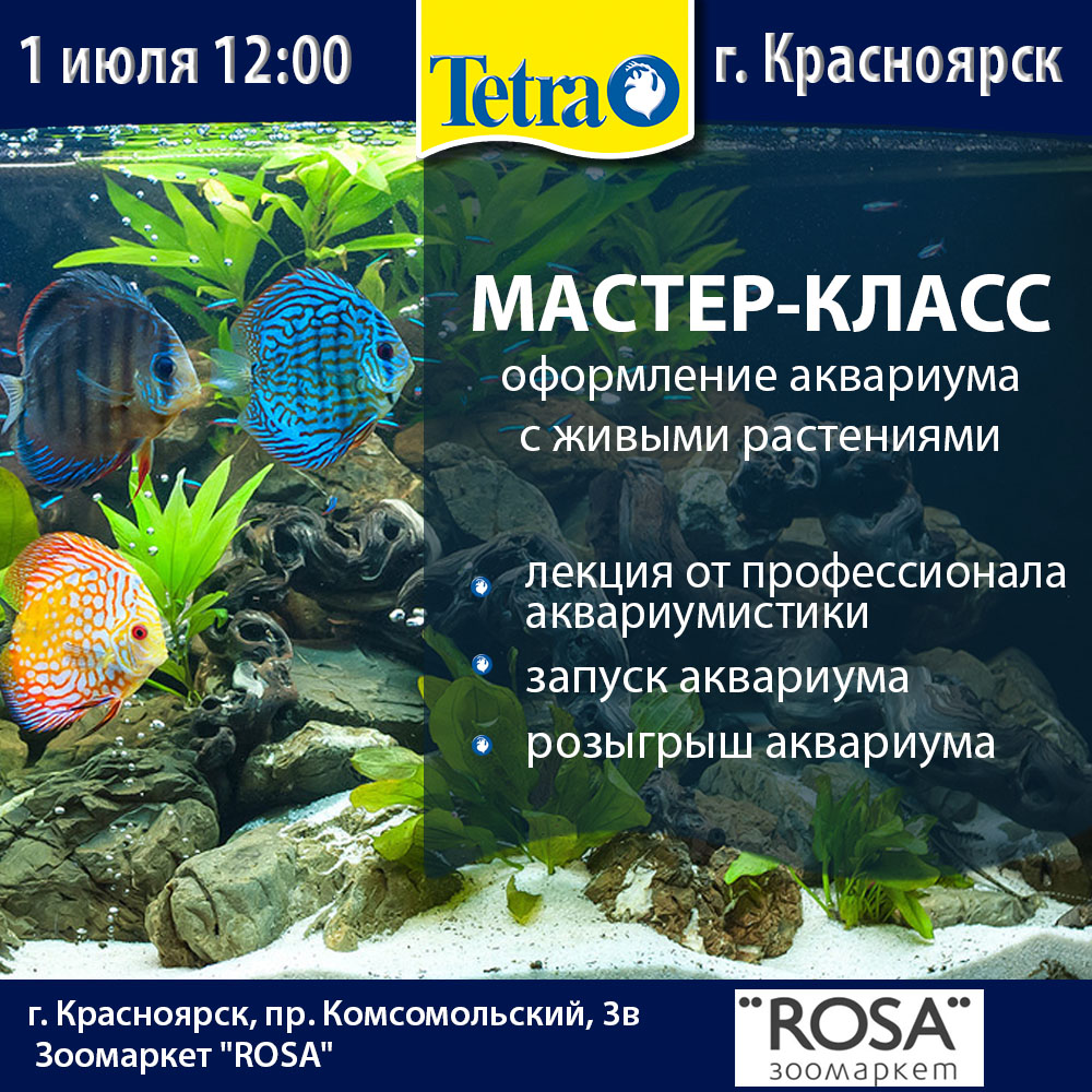 Мастер-классы Tetra по запуску аквариума с живыми растениями 1 и 2 июля 2017г. Красноярск.