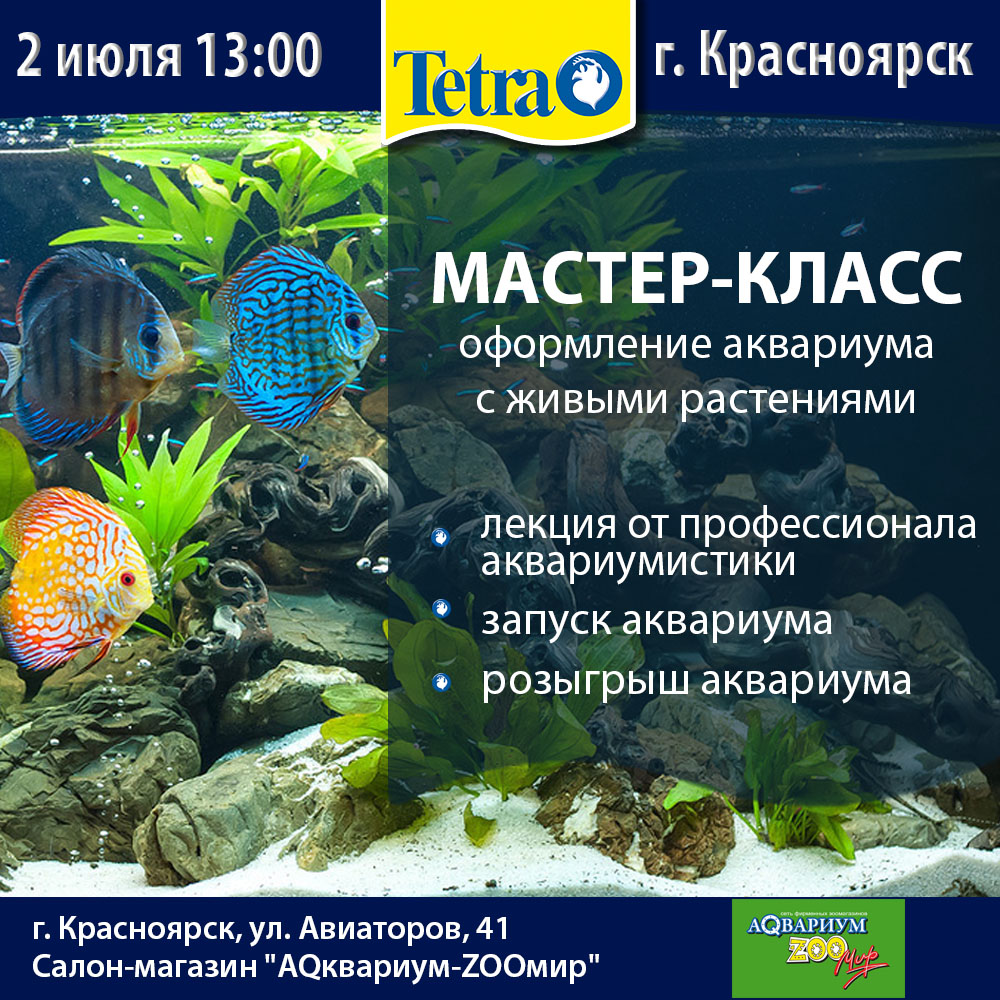 Мастер-классы Tetra по запуску аквариума с живыми растениями 1 и 2 июля 2017г. Красноярск.
