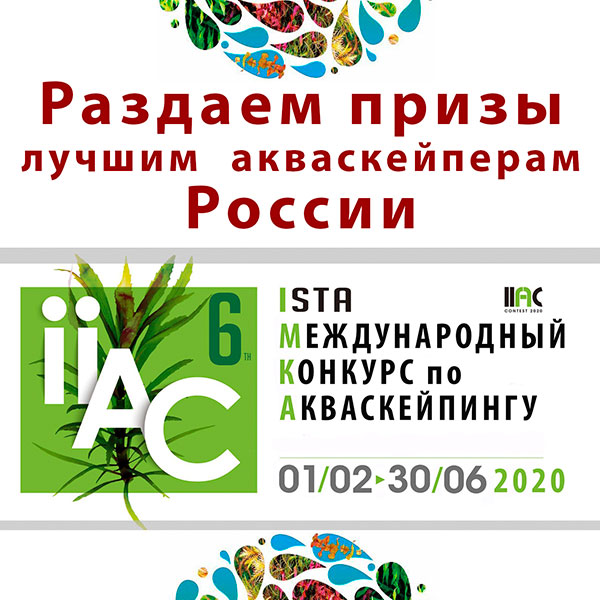 6-й Международный Конкурс по Акваскейпингу IIAC-2020