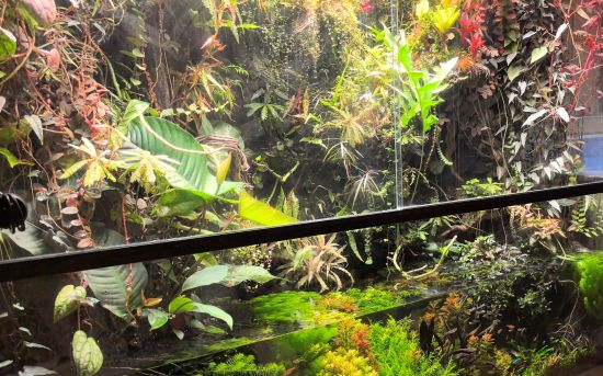 Паллюдариум под светодиодным освещением