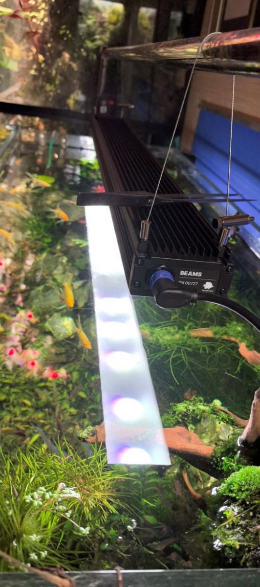 Самый большой светильник BEAMS MAX 