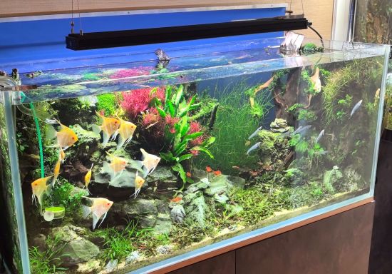 Базовый BEAMS и BEAMS PRO спокойно справятся с объёмами аквариумов около четыреста литров.