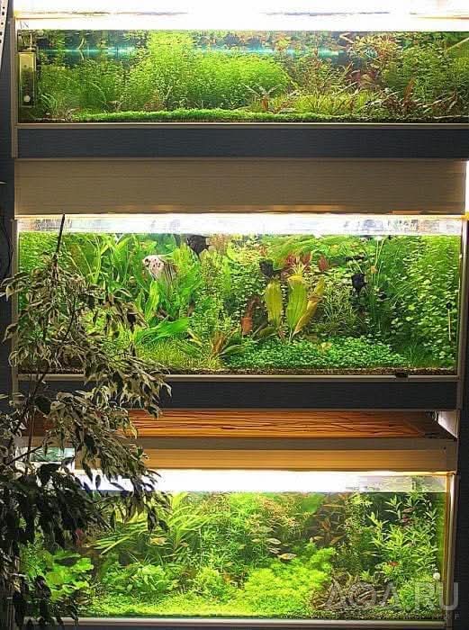 Стойка аквариумов с лампами Т5