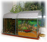 Мини аквариум с встроенным фитофильтром. Из стекла и силикона.