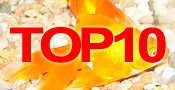 TOP10 Самых продаваемых аквариумных товаров
