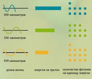 Количество фотонов на длину волны