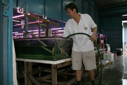 Яп Ким Чун (Yap Kim Choon)