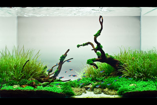 Весенний ручей