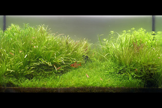 Одиночество