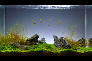 Рассвет за горизонтом