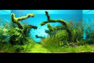 Таинственная даль