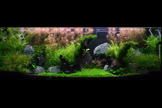 Летний закат