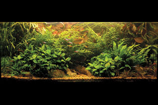 Заброшенная штольня