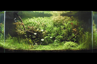 Затишье перед грозой