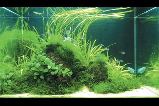 На границе миров