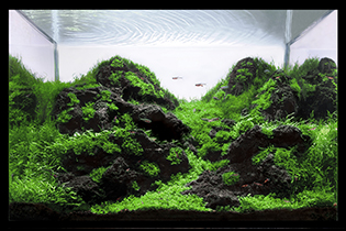 Mystique / Таинственность