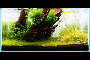 The Edge of Paradise / На краю рая