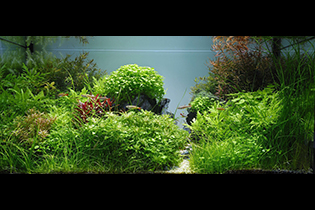 Moment before the rain / Мнгновение перед дождём