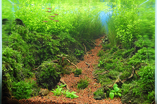 Nostalgia. I've been here / Ностальгия.  Я здесь побывал