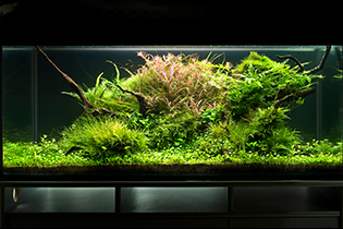 Long way / Долгий путь