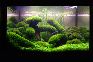 Love Gates / Врата любви