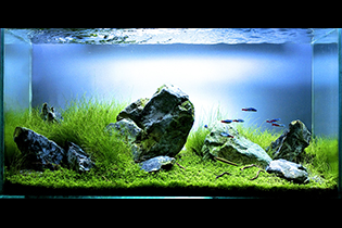 Rocky passage / Каменистый перевал