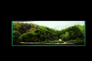 The Journey between the mountains / Прогулка в горах