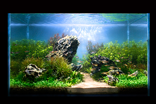 Secret shore / Тайный берег