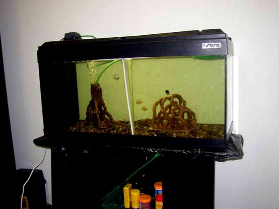 Картинка с форума