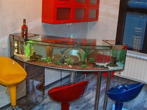 bar aquarium
