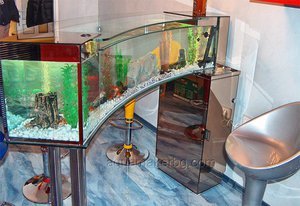 bar aquarium 2