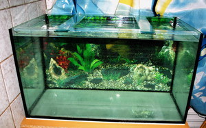 Продаётся аквариум 173 литра 820х460х460
