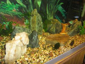 камни в аквариуме2