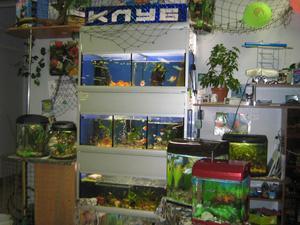выставка готовых под ключ аквариумов