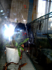 Царапина на стекле нового акваса
