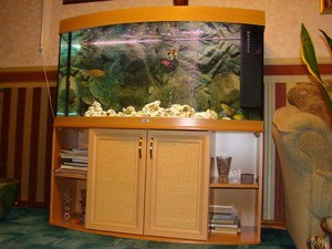 фото аквариума