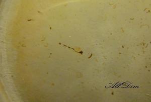 Nannostomus mortenthaleri - личинка