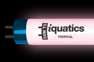 iquatics T5 light tube Tropical