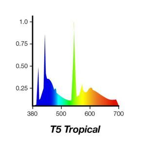iquatics T5 Tropical color spectrum