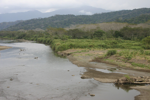 Costa Rica- Croc river