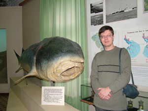 Самая большая рыба