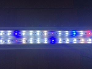 LED cветильники "Biodesign" нового поколения на сверхярких светодиодах