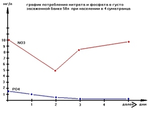 график потребления NO3 и PO4