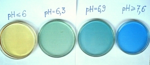 Бромтимоловый синий - индикатор для определения pH воды.