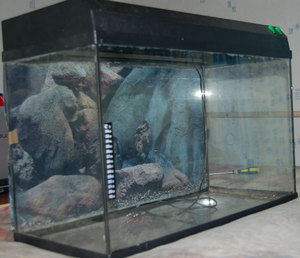 аквариум на продажу 2