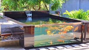 садовый аквариум